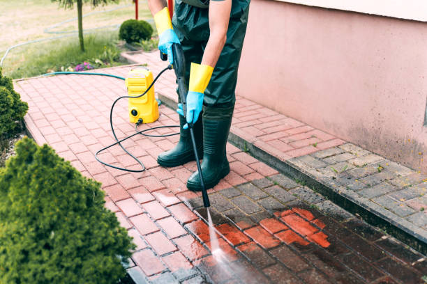 Best Animal Enclosure Cleaning  in Erie, IL